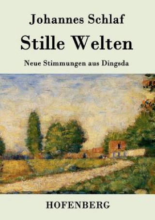 Libro Stille Welten Johannes Schlaf