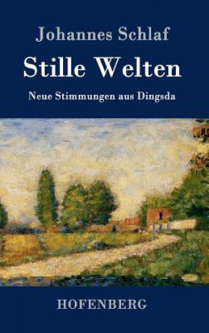 Kniha Stille Welten Johannes Schlaf