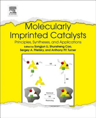 Kniha Molecularly Imprinted Catalysts Songjun Li