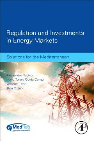 Kniha Regulation and Investments in Energy Markets Alessandro Rubino