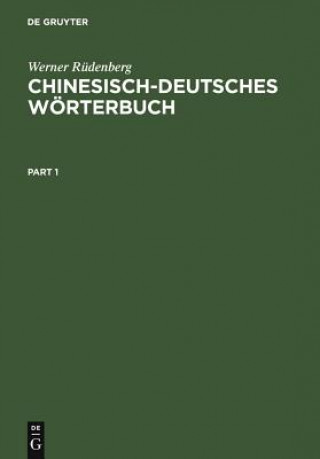 Kniha Chinesisch-Deutsches Woerterbuch Werner Rudenberg