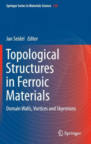 Boek Topological Structures in Ferroic Materials Jan Seidel