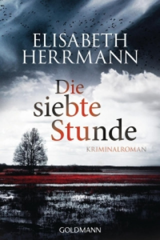 Книга Die siebte Stunde Elisabeth Herrmann