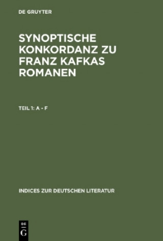 Knjiga Synoptische Konkordanz Zu Franz Kafkas Romanen Heinrich P. Delfosse