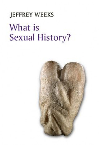 Carte What is Sexual History? Jeffrey Weeks