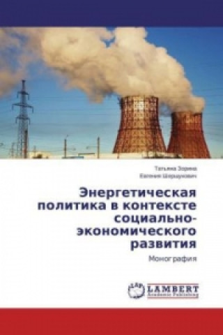 Knjiga Jenergeticheskaya politika v kontexte social'no-jekonomicheskogo razvitiya Tat'yana Zorina