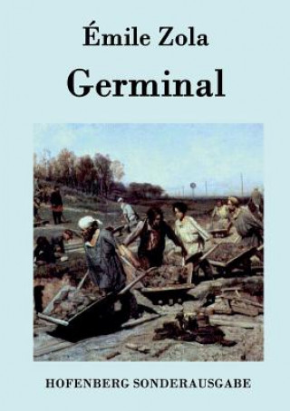 Книга Germinal Émile Zola