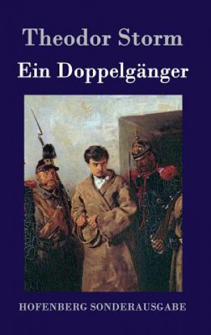 Book Ein Doppelganger Theodor Storm