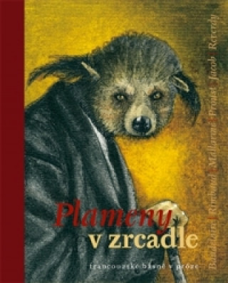 Книга Plameny v zrcadle Zdeněk Hron