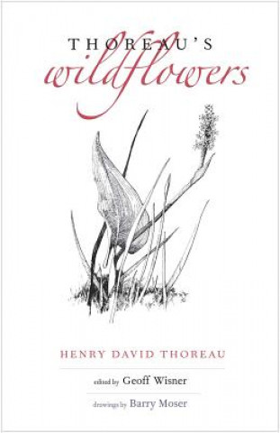 Książka Thoreau's Wildflowers Henry D. Thoreau