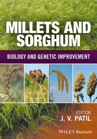 Könyv Millets and Sorghum K. Sahayaraj