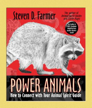 Kniha Power Animals Steven Farmer