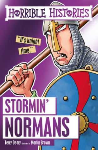 Kniha Stormin' Normans Terry Deary