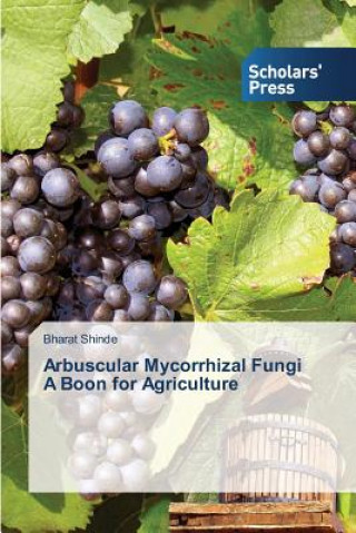 Carte Arbuscular Mycorrhizal Fungi A Boon for Agriculture Shinde Bharat