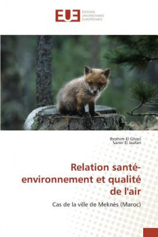 Kniha Relation Sante-Environnement Et Qualite de l'Air 