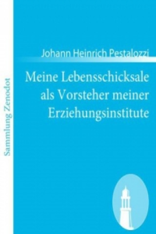 Kniha Meine Lebensschicksale als Vorsteher meiner Erziehungsinstitute Johann Heinrich Pestalozzi