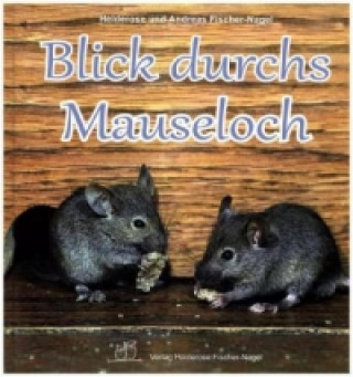 Kniha Blick durchs Mauseloch Andreas Fischer-Nagel