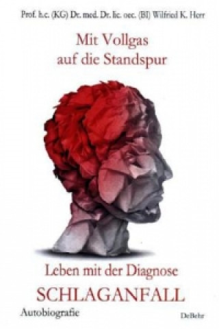 Könyv Mit Vollgas auf die Standspur - Leben mit der Diagnose Schlaganfall Wilfried K. Herr