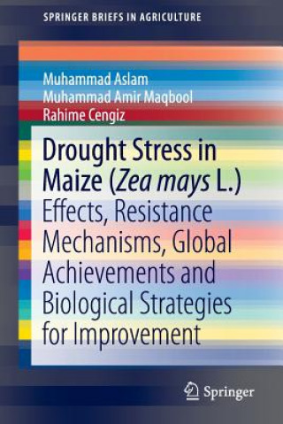 Könyv Drought Stress in Maize (Zea mays L.) Muhammad Aslam