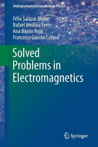 Carte Solved Problems in Electromagnetics Félix Salazar Bloise