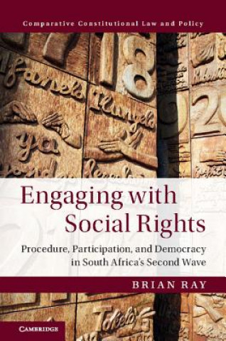 Kniha Engaging with Social Rights Brian Ray