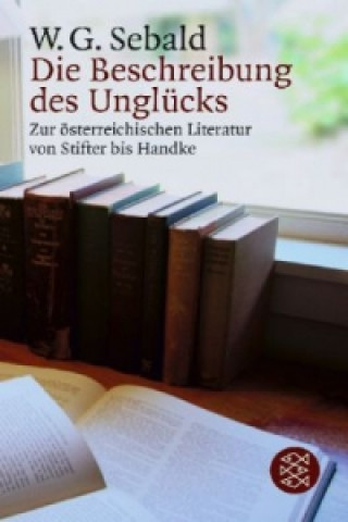 Kniha Die Beschreibung des Unglücks W. G. Sebald