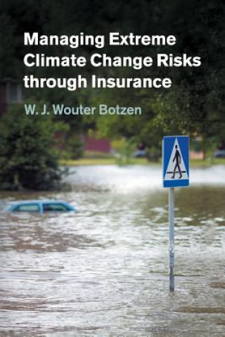 Könyv Managing Extreme Climate Change Risks through Insurance W. J. Wouter Botzen