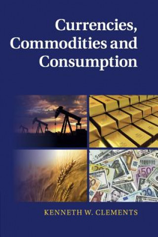 Książka Currencies, Commodities and Consumption Kenneth W. Clements