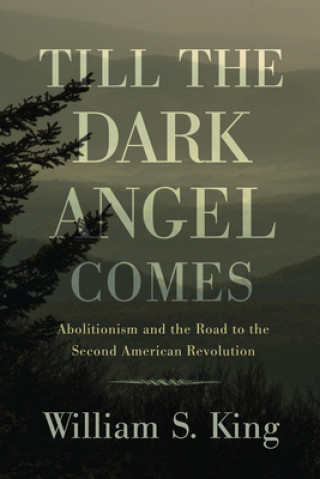 Libro Till the Dark Angel Comes William S. King