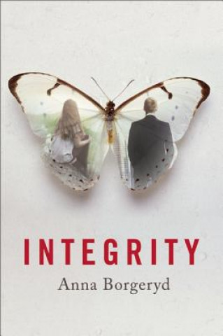 Könyv Integrity Anna Borgeryd