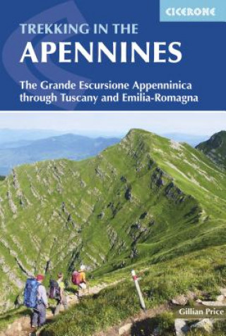 Knjiga Trekking in the Apennines Gillian Price