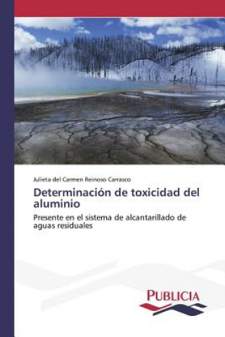 Kniha Determinacion de toxicidad del aluminio Reinoso Carrasco Julieta Del Carmen