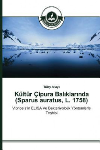 Carte Kultur Cipura Bal&#305;klar&#305;nda (Sparus auratus, L. 1758) Akayl