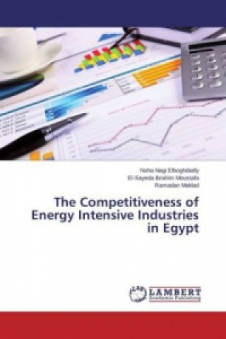 Książka The Competitiveness of Energy Intensive Industries in Egypt Noha Nagi Elboghdadly