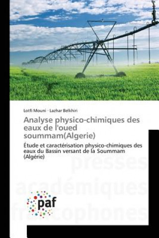 Kniha Analyse Physico-Chimiques Des Eaux de l'Oued Soummam(algerie) 