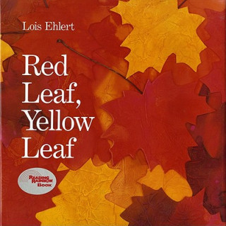 Książka Red Leaf, Yellow Leaf Lois Ehlert