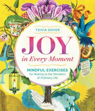 Kniha Joy in Every Moment Tzivia Gover