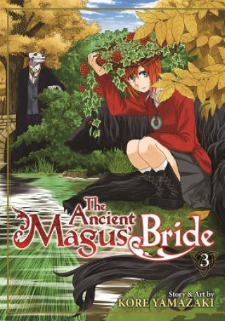 Książka Ancient Magus' Bride Kore Yamazaki