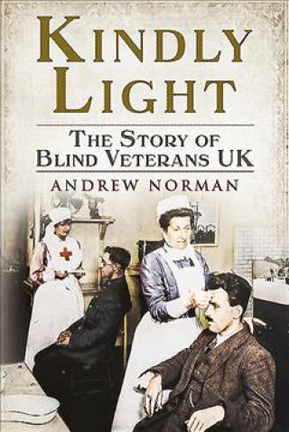 Kniha Kindly Light Andrew Norman