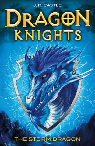 Boek Storm Dragon J R Castle