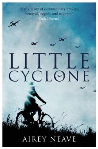 Könyv Little Cyclone Airey Neave