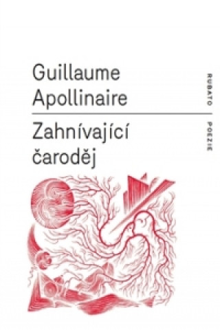 Könyv Zahnívající čaroděj Guillaume Apollinaire