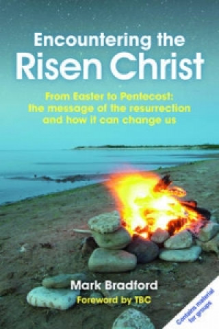 Book Encountering the Risen Christ 