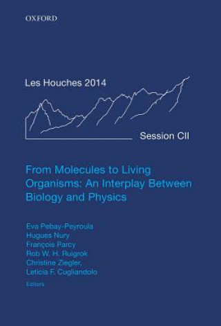 Könyv From Molecules to Living Organisms: An Interplay Between Biology and Physics Eva Pebay Peyroula