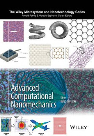 Kniha Advanced Computational Nanomechanics Nuno Silvestre