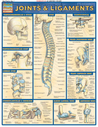 Kniha Joints and Ligaments Inc. BarCharts