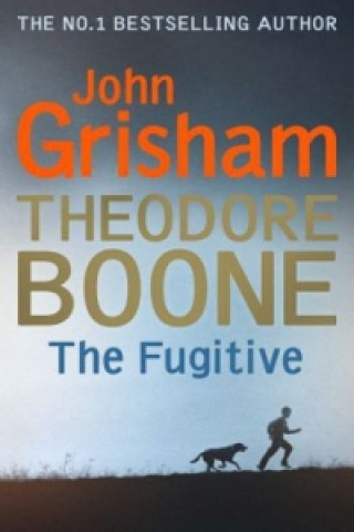Carte Theodore Boone John Grisham