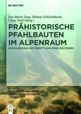 Kniha Prahistorische Pfahlbauten im Alpenraum Eva-Maria Seng