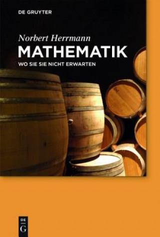 Kniha Mathematik Norbert Herrmann