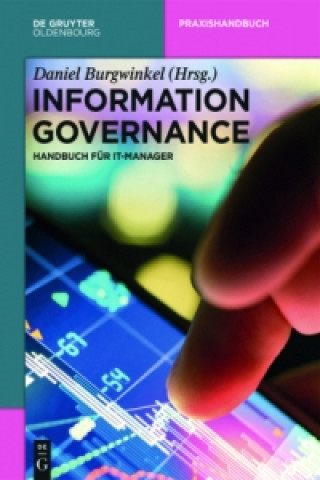 Kniha Information Governance und Cybersecurity Daniel Burgwinkel